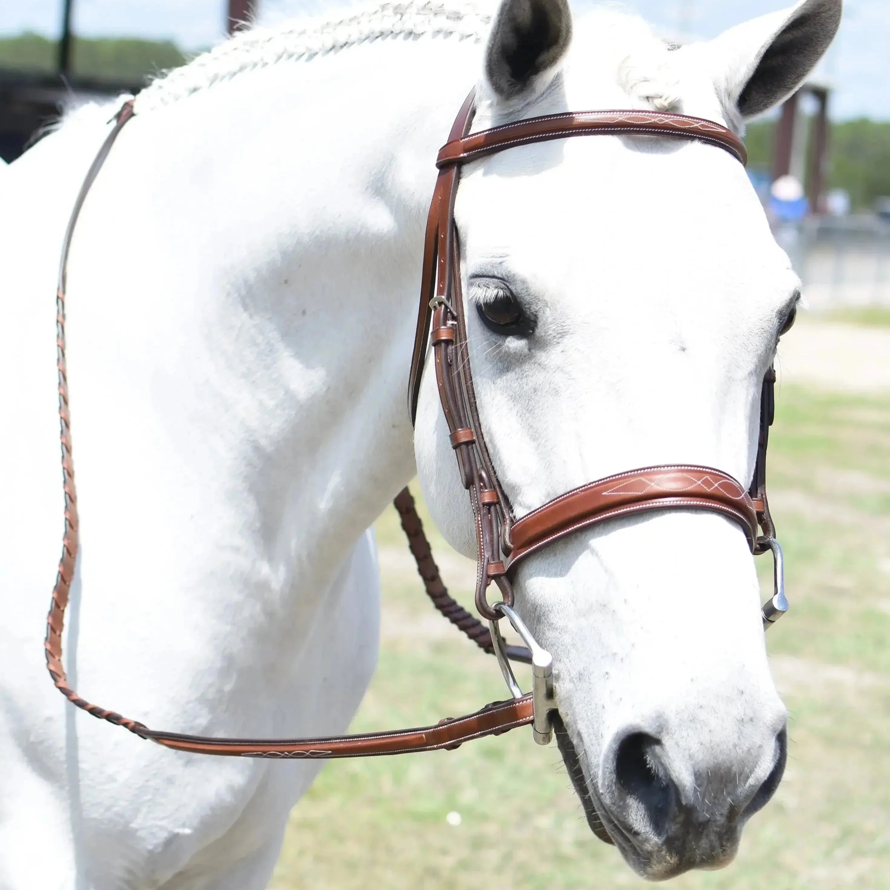 Huntley Equestrian Sedgwick Fancy Stitched Square Raised Hunter Horse Bridle with Reins - Equiluxe Tack