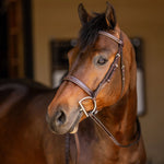 Huntley Equestrian Sedgwick Fancy Stitched Square Raised Hunter Horse Bridle with Reins - Equiluxe Tack