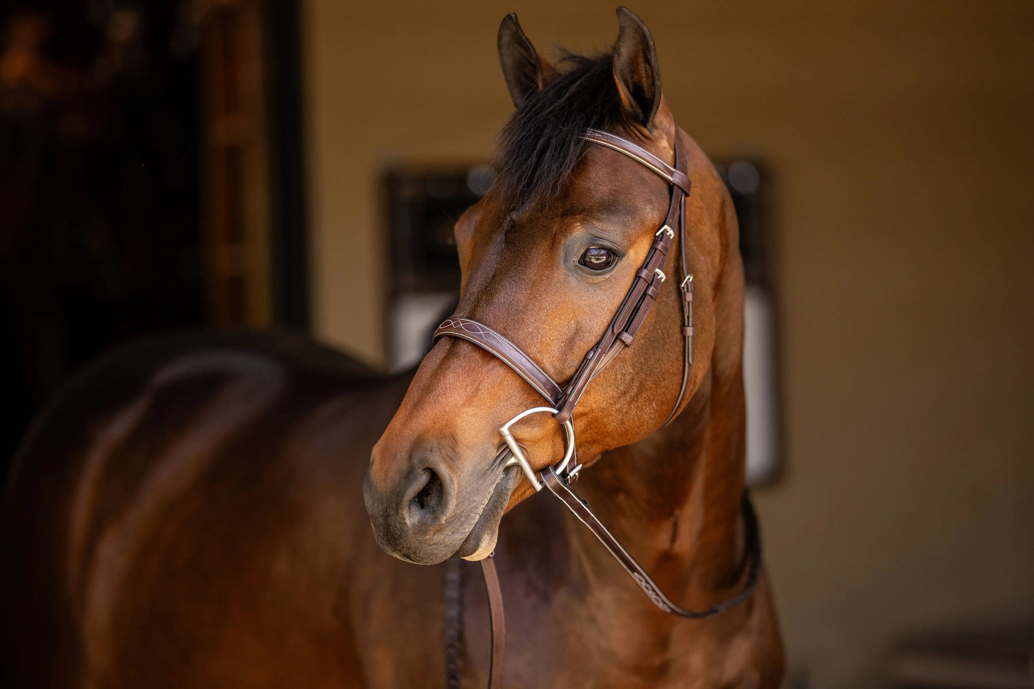 Huntley Equestrian Sedgwick Fancy Stitched Square Raised Hunter Horse Bridle with Reins - Equiluxe Tack
