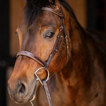 Huntley Equestrian Sedgwick Fancy Stitched Square Raised Hunter Horse Bridle with Reins - Equiluxe Tack