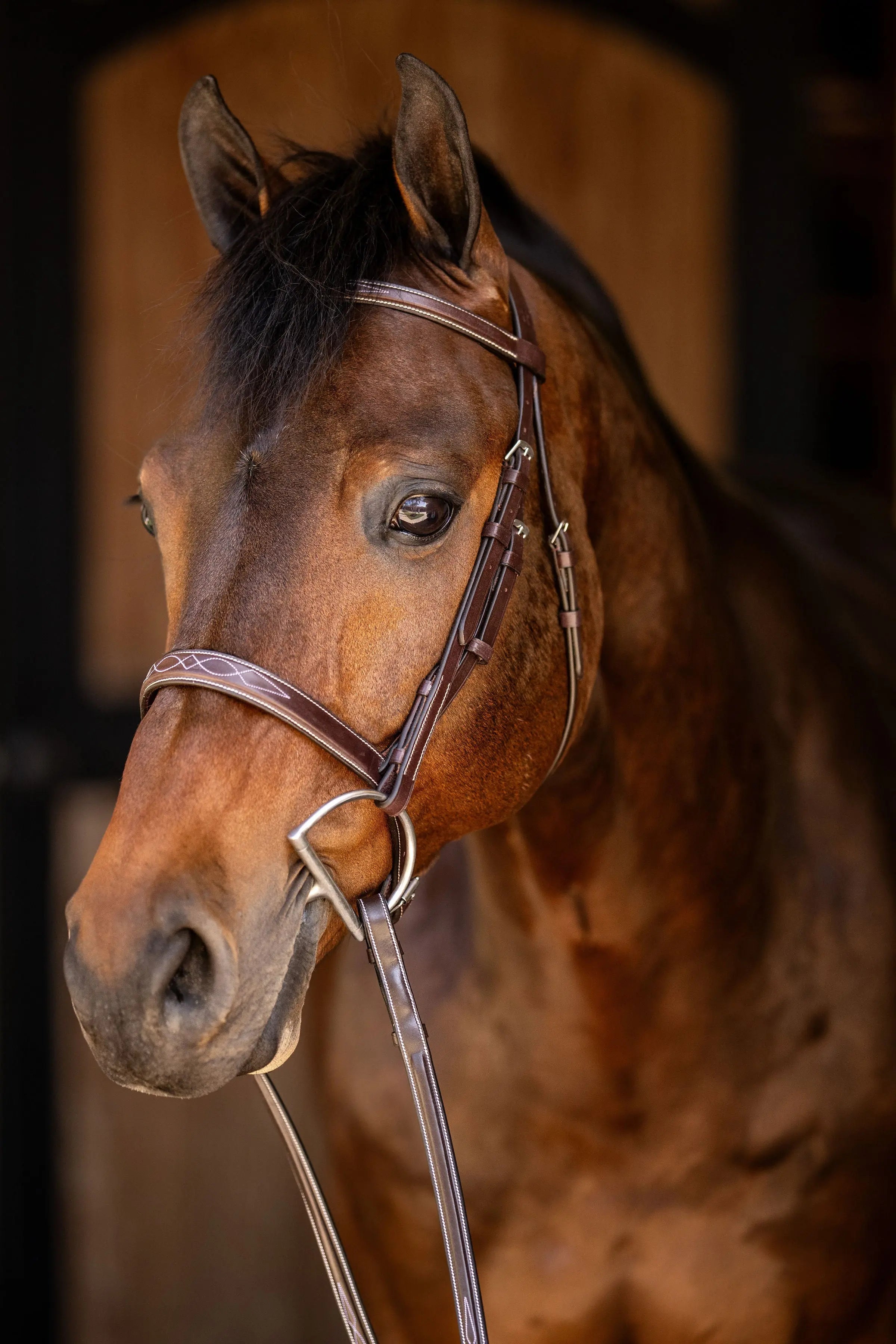 Huntley Equestrian Sedgwick Fancy Stitched Square Raised Hunter Horse Bridle with Reins - Equiluxe Tack