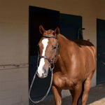 Huntley Equestrian Sedgwick Fancy Stitched Square Raised Hunter Horse Bridle with Reins - Equiluxe Tack