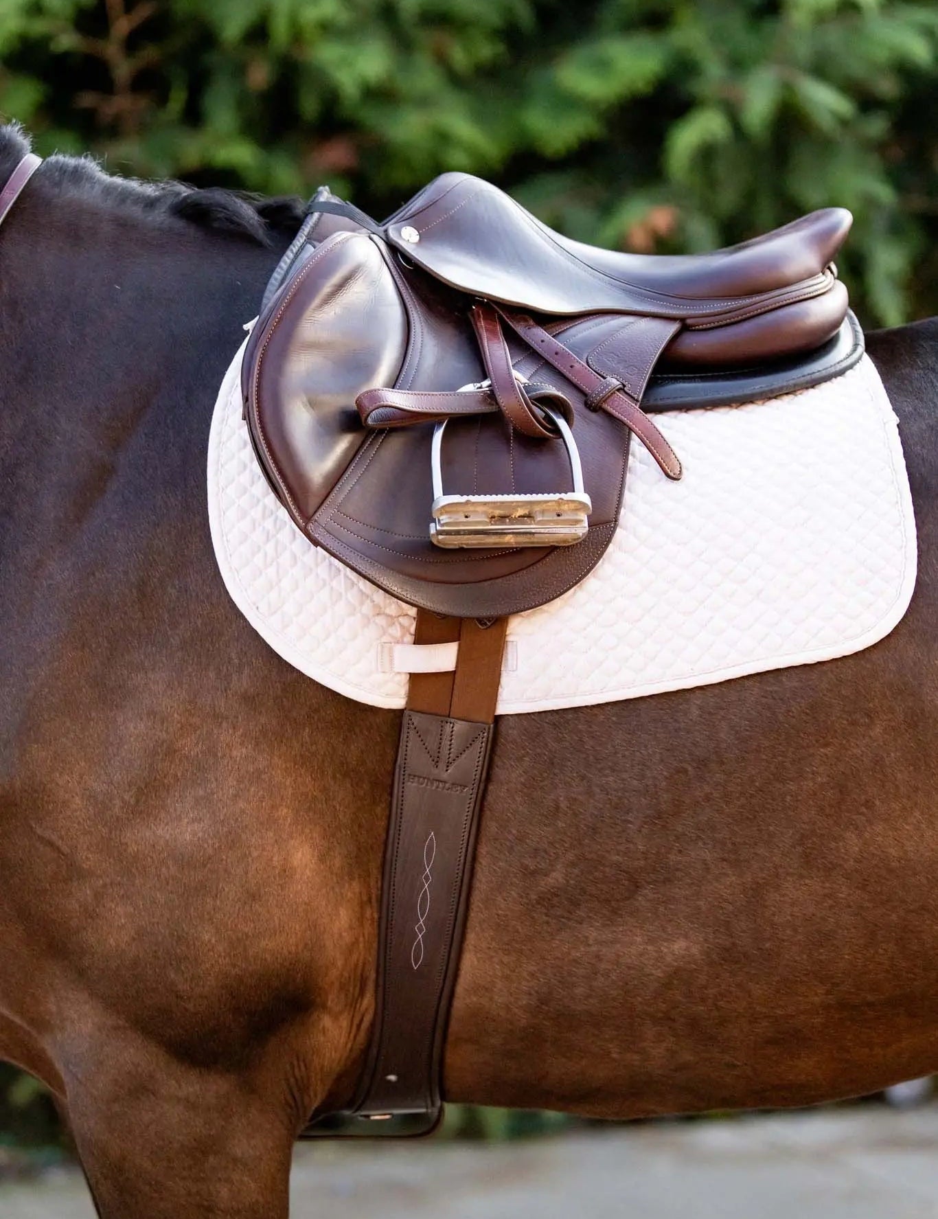 Huntley Equestrian Sedgwick Leather Fancy Stitched Padded Leather Contour Shaped Girth with Double End Elastic - Equiluxe Tack