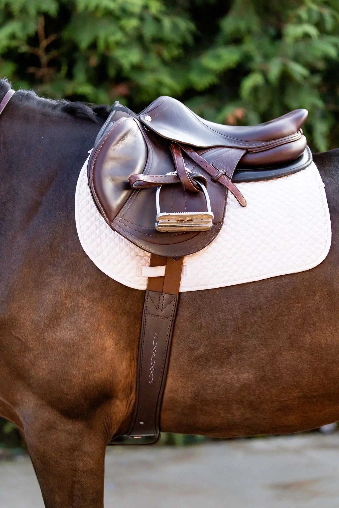 Huntley Equestrian Sedgwick Leather Fancy Stitched Padded Leather Contour Shaped Girth with Double End Elastic - Equiluxe Tack