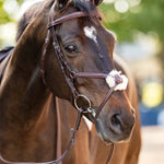 Huntley Equestrian Sedgwick Leather Padded Monocrown Figure 8 Bridle - Equiluxe Tack