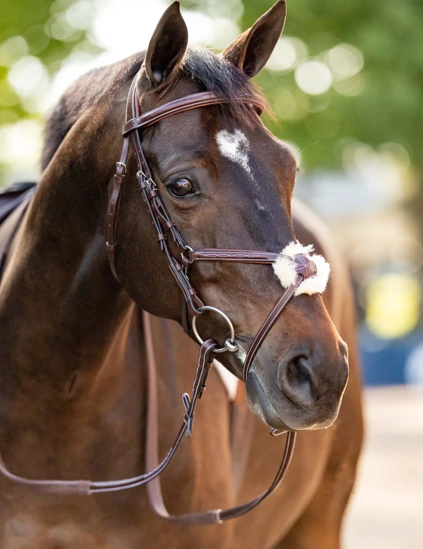 Huntley Equestrian Sedgwick Leather Padded Monocrown Figure 8 Bridle - Equiluxe Tack