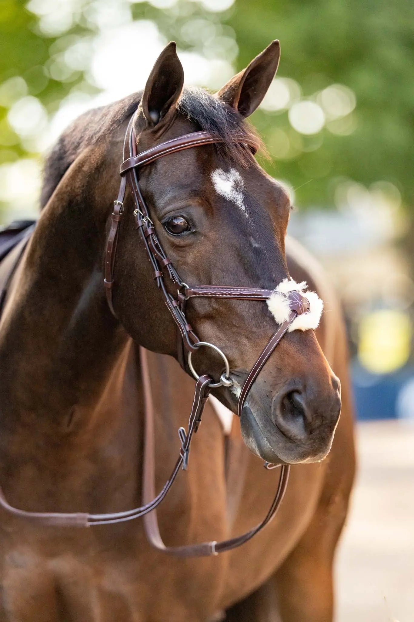 Huntley Equestrian Sedgwick Leather Padded Monocrown Figure 8 Bridle - Equiluxe Tack