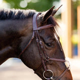 Huntley Equestrian Sedgwick Leather Padded Monocrown Figure 8 Bridle - Equiluxe Tack