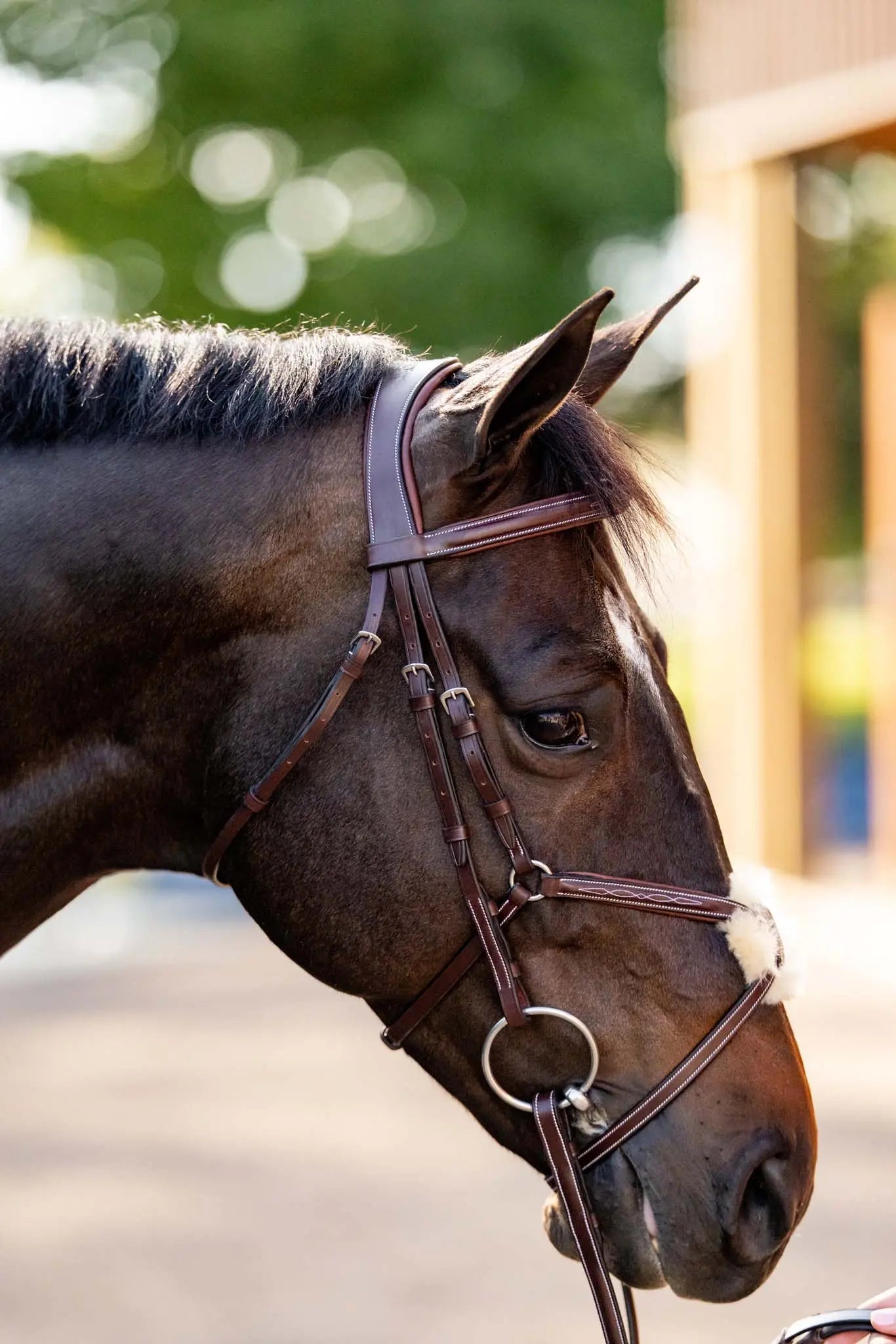 Huntley Equestrian Sedgwick Leather Padded Monocrown Figure 8 Bridle - Equiluxe Tack