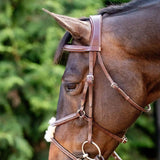 Huntley Equestrian Sedgwick Leather Padded Monocrown Figure 8 Bridle - Equiluxe Tack