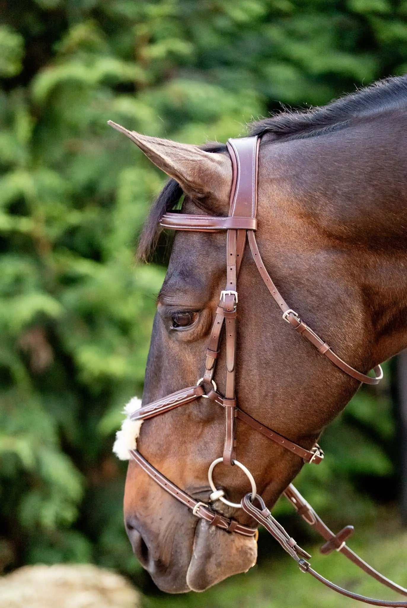 Huntley Equestrian Sedgwick Leather Padded Monocrown Figure 8 Bridle - Equiluxe Tack