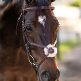 Huntley Equestrian Sedgwick Leather Padded Monocrown Figure 8 Bridle - Equiluxe Tack