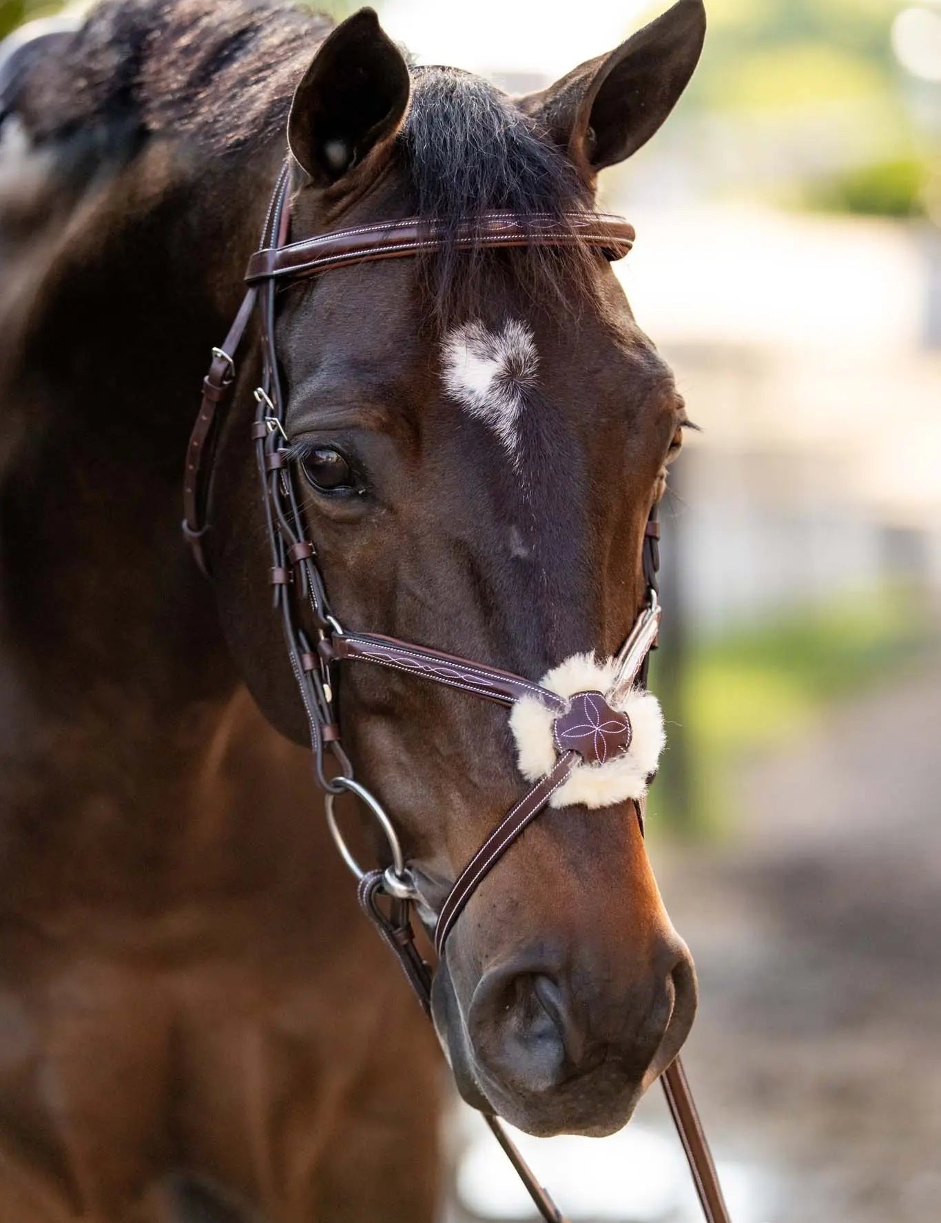 Huntley Equestrian Sedgwick Leather Padded Monocrown Figure 8 Bridle - Equiluxe Tack