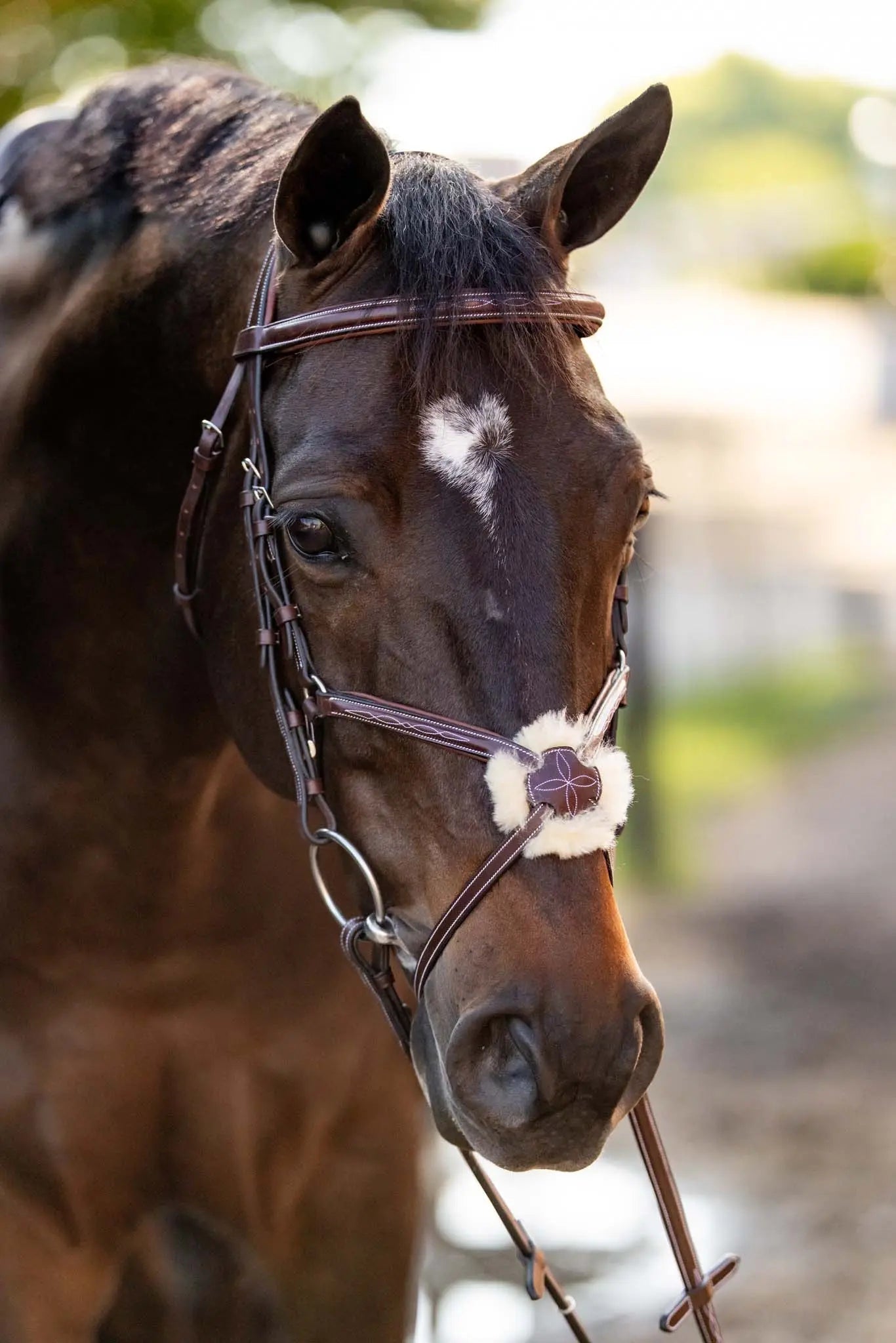 Huntley Equestrian Sedgwick Leather Padded Monocrown Figure 8 Bridle - Equiluxe Tack