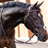 Huntley Equestrian Sedgwick Leather Padded Monocrown Figure 8 Bridle - Equiluxe Tack