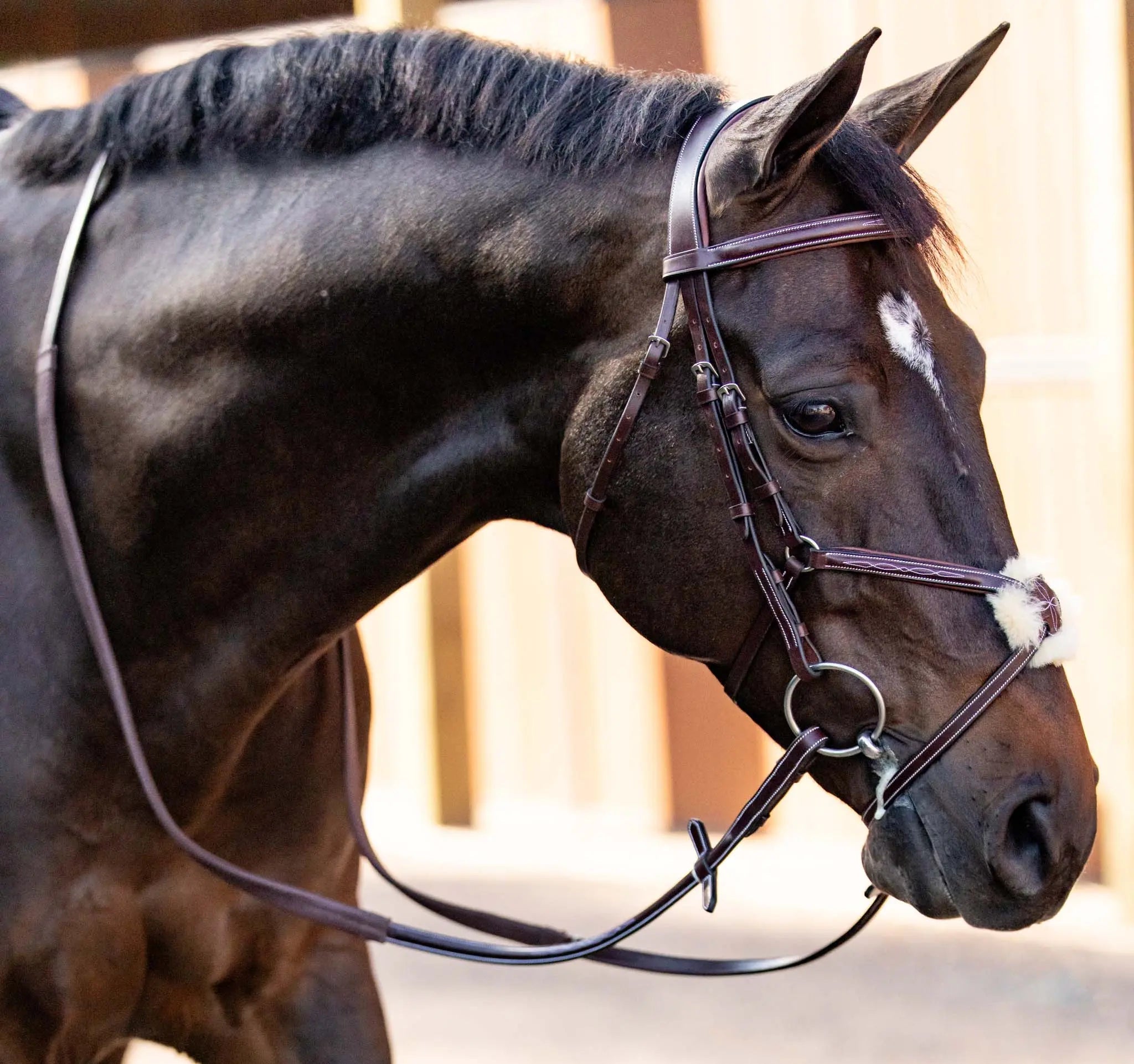 Huntley Equestrian Sedgwick Leather Padded Monocrown Figure 8 Bridle - Equiluxe Tack