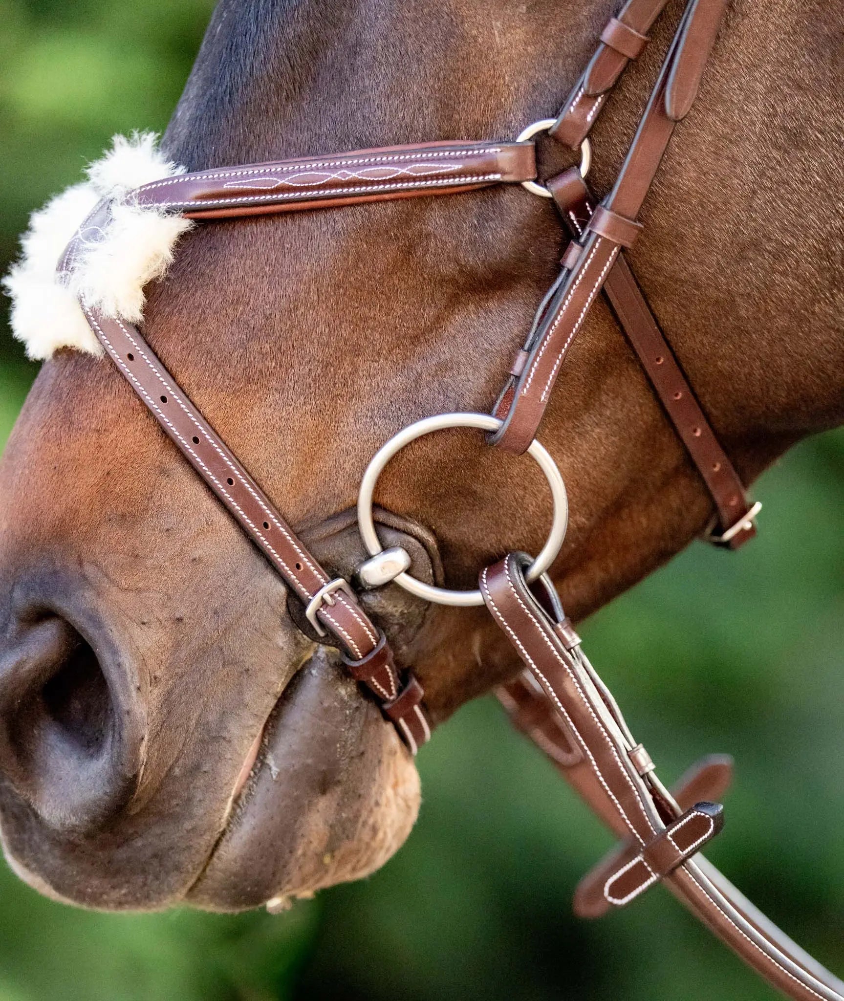 Huntley Equestrian Sedgwick Leather Padded Monocrown Figure 8 Bridle - Equiluxe Tack
