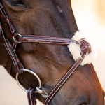 Huntley Equestrian Sedgwick Leather Padded Monocrown Figure 8 Bridle - Equiluxe Tack