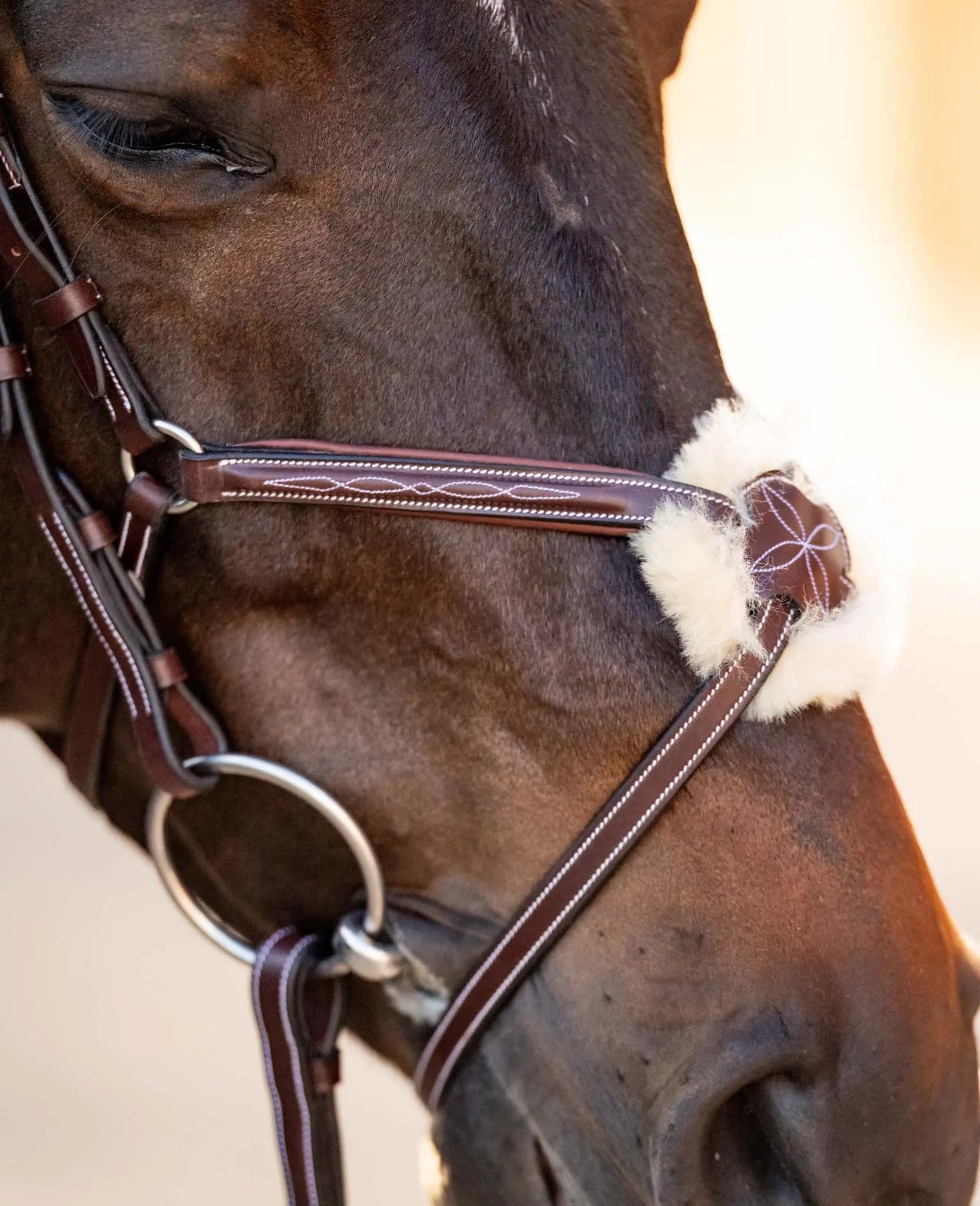 Huntley Equestrian Sedgwick Leather Padded Monocrown Figure 8 Bridle - Equiluxe Tack