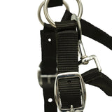 Huntley Fleece Padded Nylon Grazing Muzzle, Black - Equiluxe Tack
