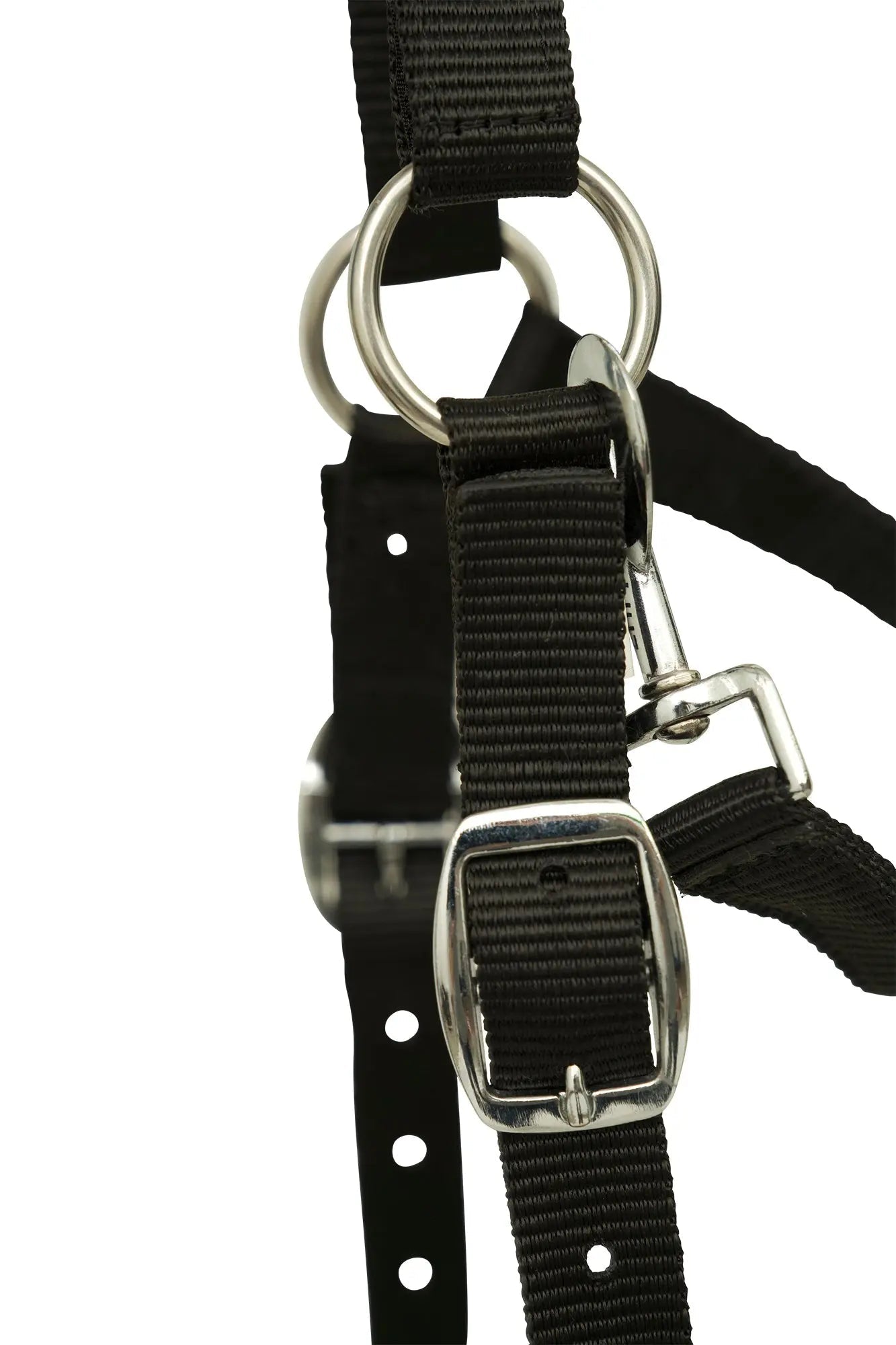 Huntley Fleece Padded Nylon Grazing Muzzle, Black - Equiluxe Tack