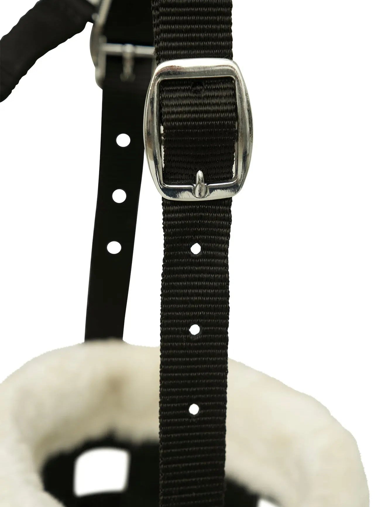 Huntley Fleece Padded Nylon Grazing Muzzle, Black - Equiluxe Tack