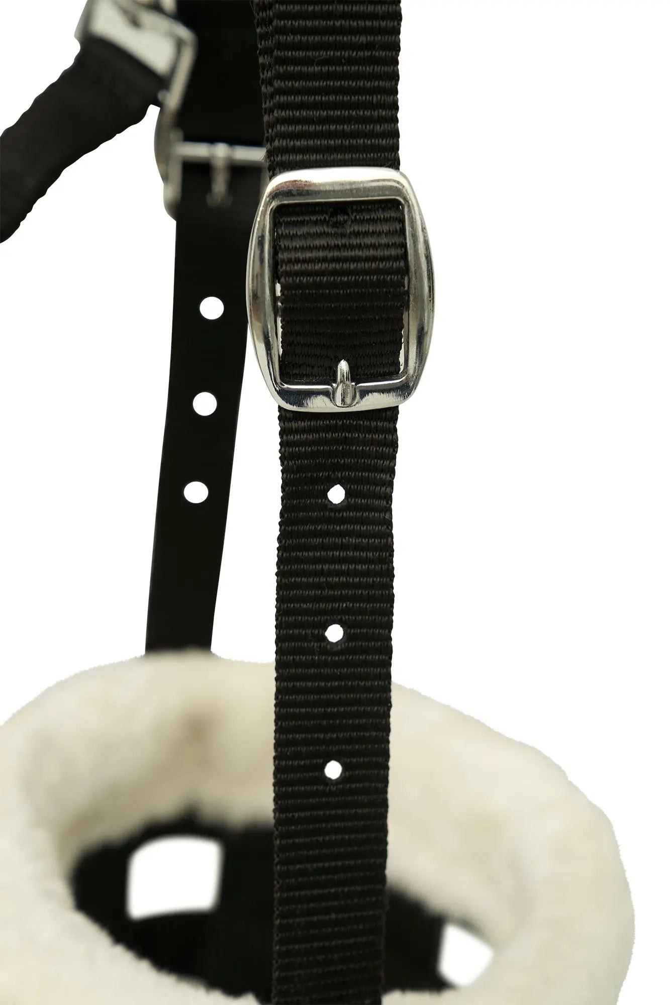 Huntley Fleece Padded Nylon Grazing Muzzle, Black - Equiluxe Tack