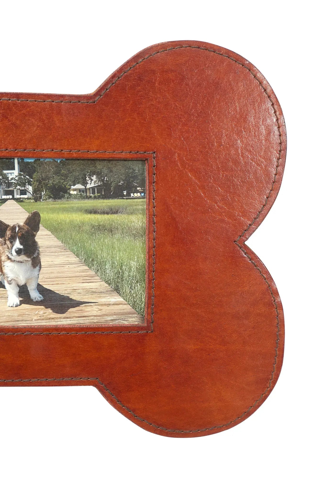 Huntley Pet Leather Bone Shaped Picture Frame, 4x6 - Equiluxe Tack