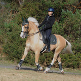 Jade Green Saddle Pad Set