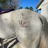 Happy Anniversary!  - Glittermarx Temporary Tattoo Kit for Horses