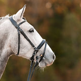 ***LIMITED EDITION*** The Jolina Dressage Bridle