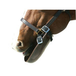 Intrepid Plastic Horse Bib - Intrepid International - Equiluxe Tack