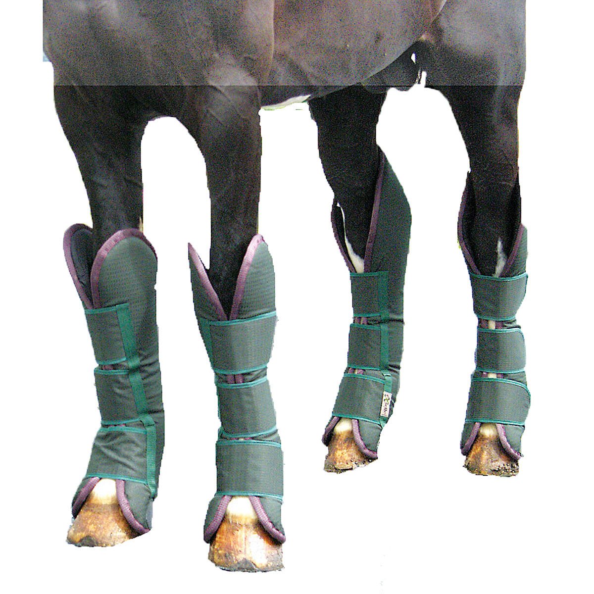 Intrepid Shipping Boots - Set of Four - Intrepid International - Equiluxe Tack