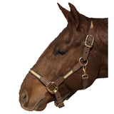 Intrepid Two Tone Brown Nylon Halter with Leather Trim - Cob - Intrepid International - Equiluxe Tack