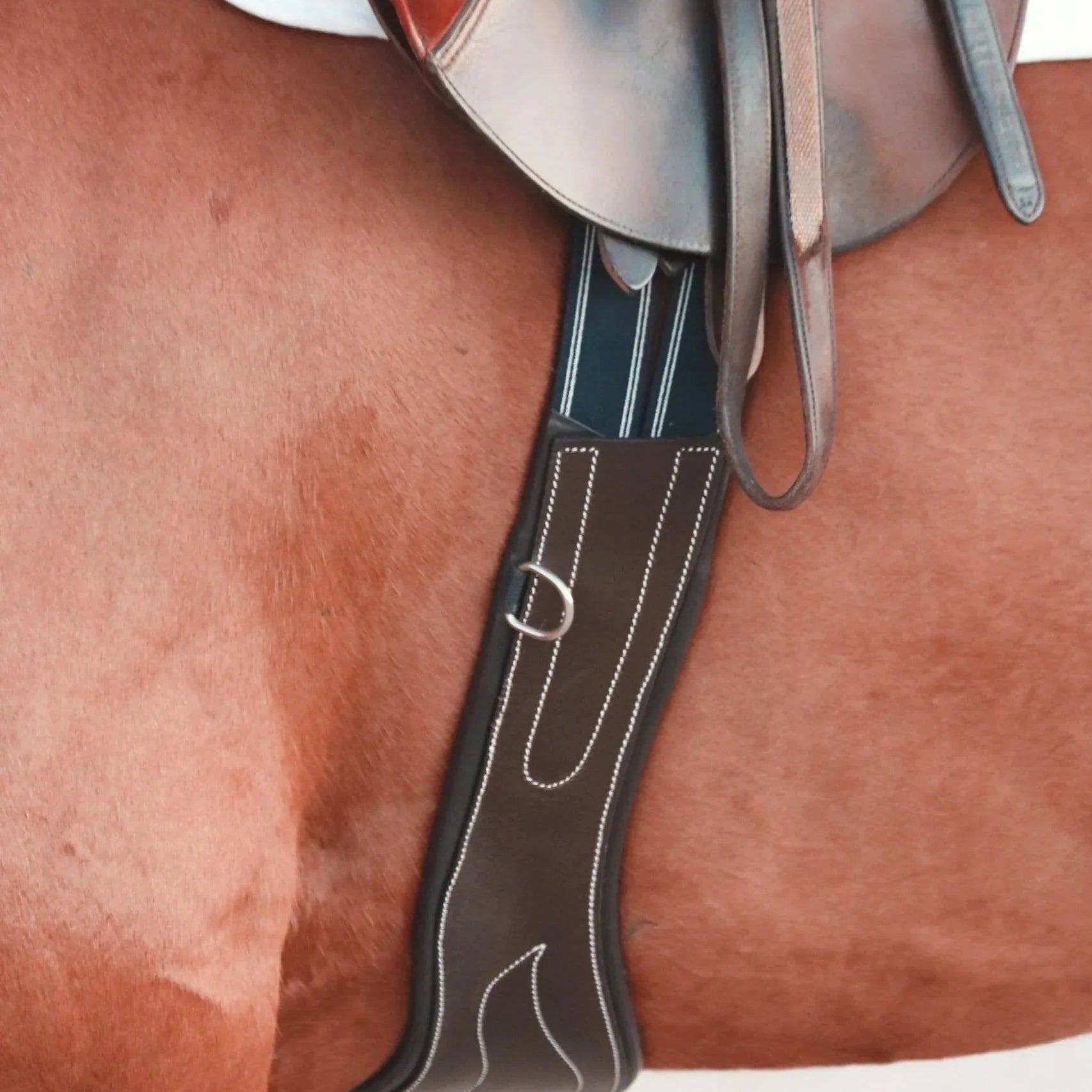 ITC Anatomical Long Leather Hunter Jumper Girth - Equiluxe Tack