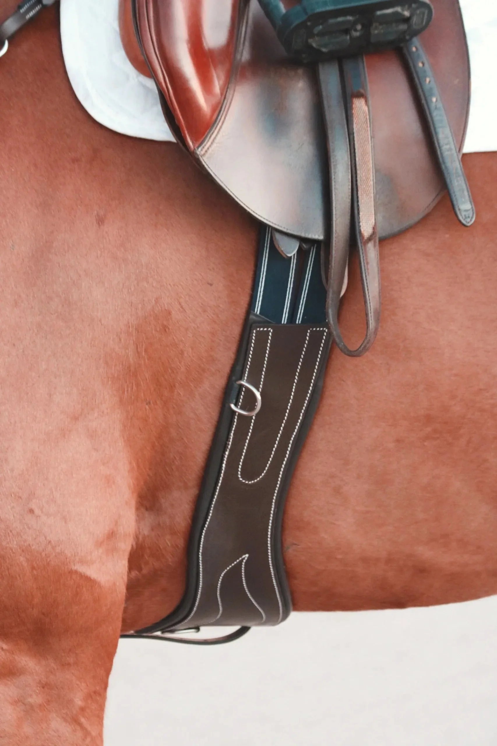 ITC Anatomical Long Leather Hunter Jumper Girth - Equiluxe Tack