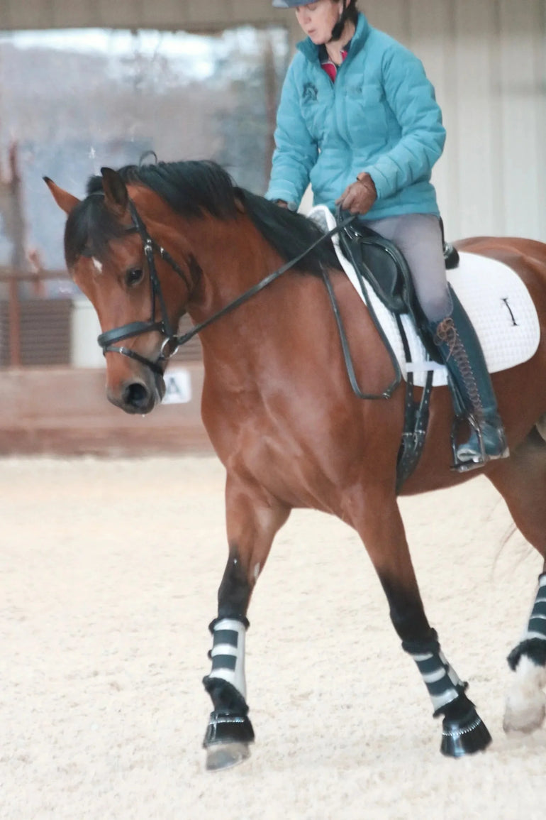 ITC Classic - Monocrown Dressage Bridle - Equiluxe Tack