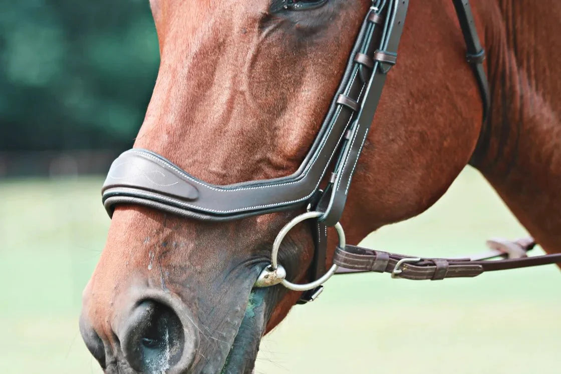 ITC Innovation - Annatomical Jump Bridle - Equiluxe Tack