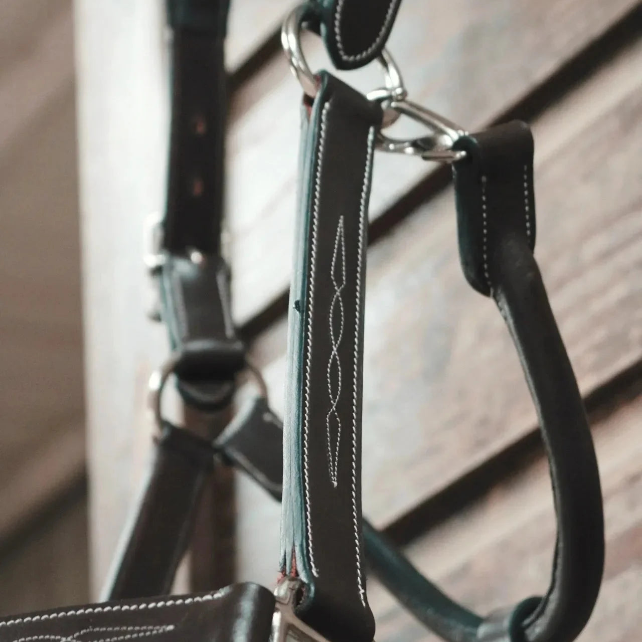 ITC Padded Fancy Stitched Leather Halter - Equiluxe Tack