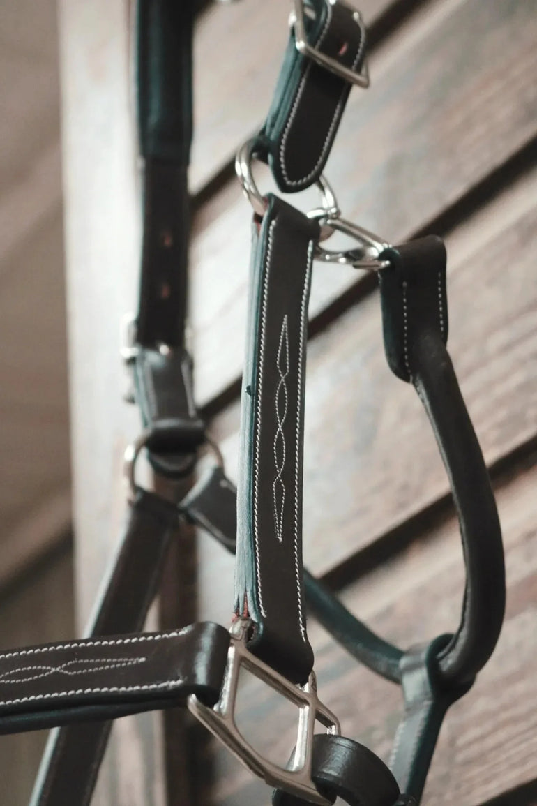 ITC Padded Fancy Stitched Leather Halter - Equiluxe Tack