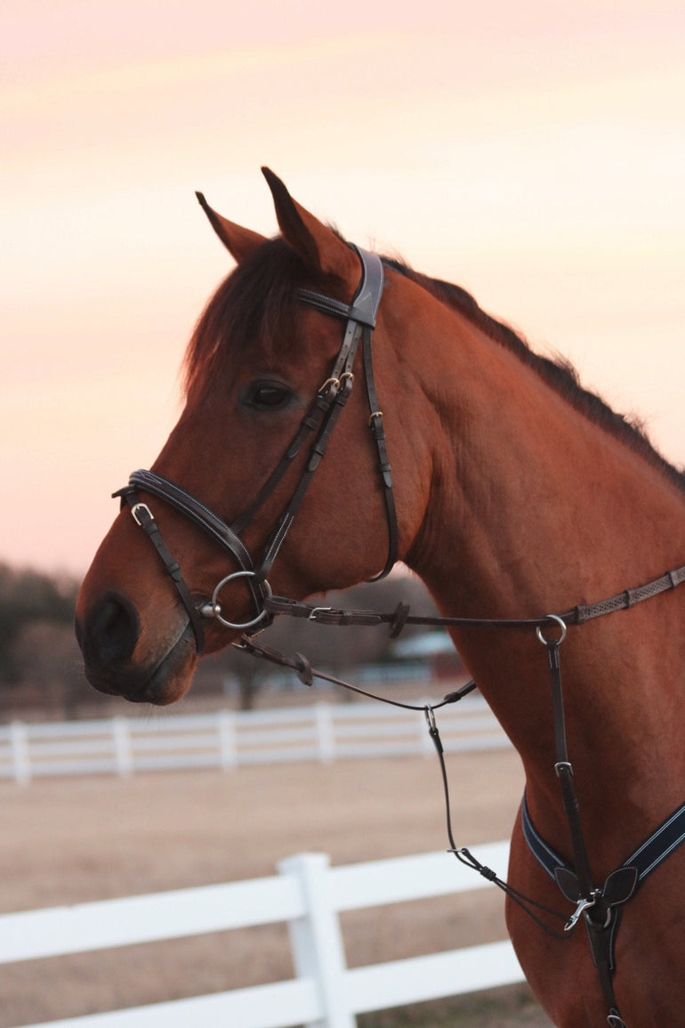 ITC Simplicity - Removable Flash Bridle - Equiluxe Tack