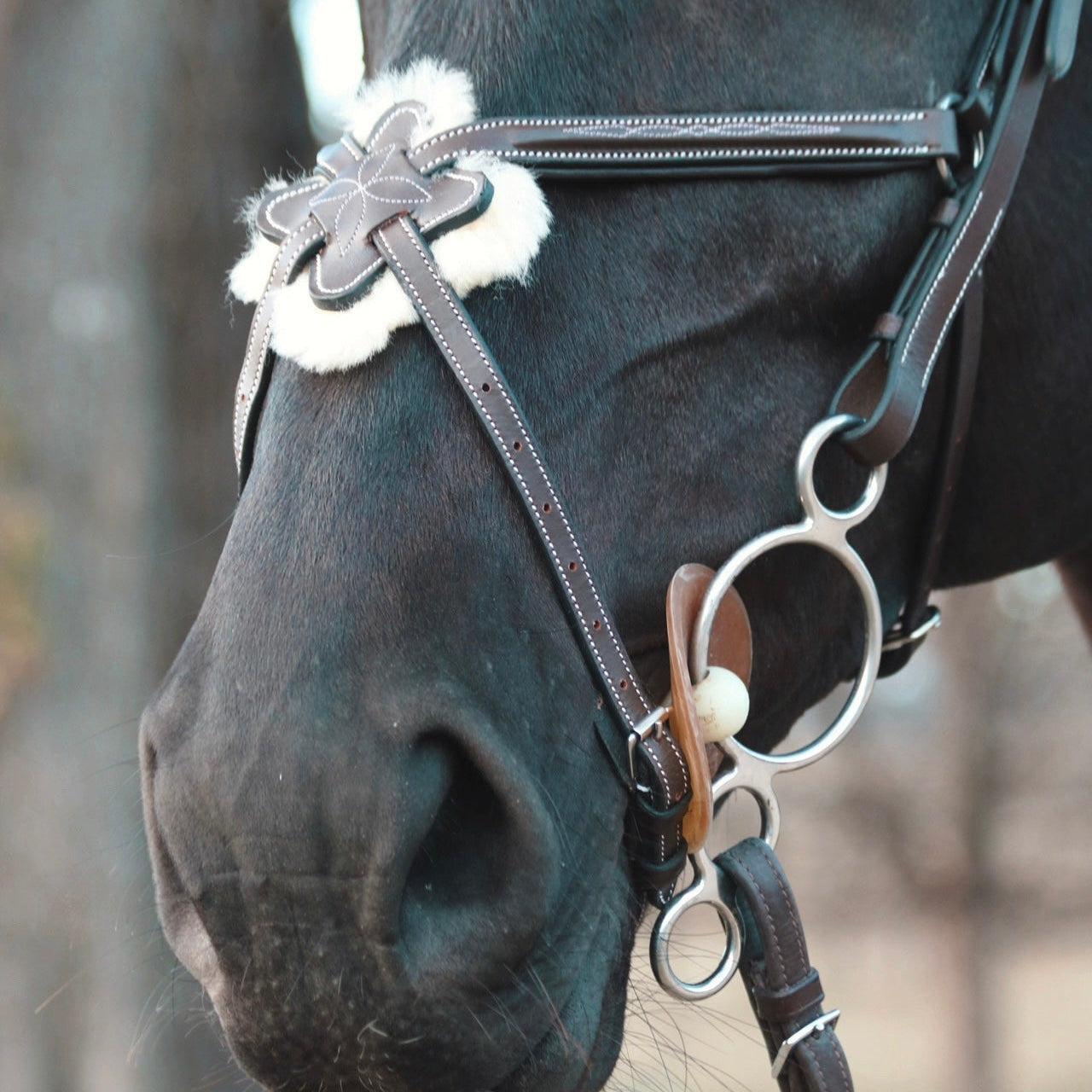 ITC The Eventer - Figure 8 Bridle - Equiluxe Tack