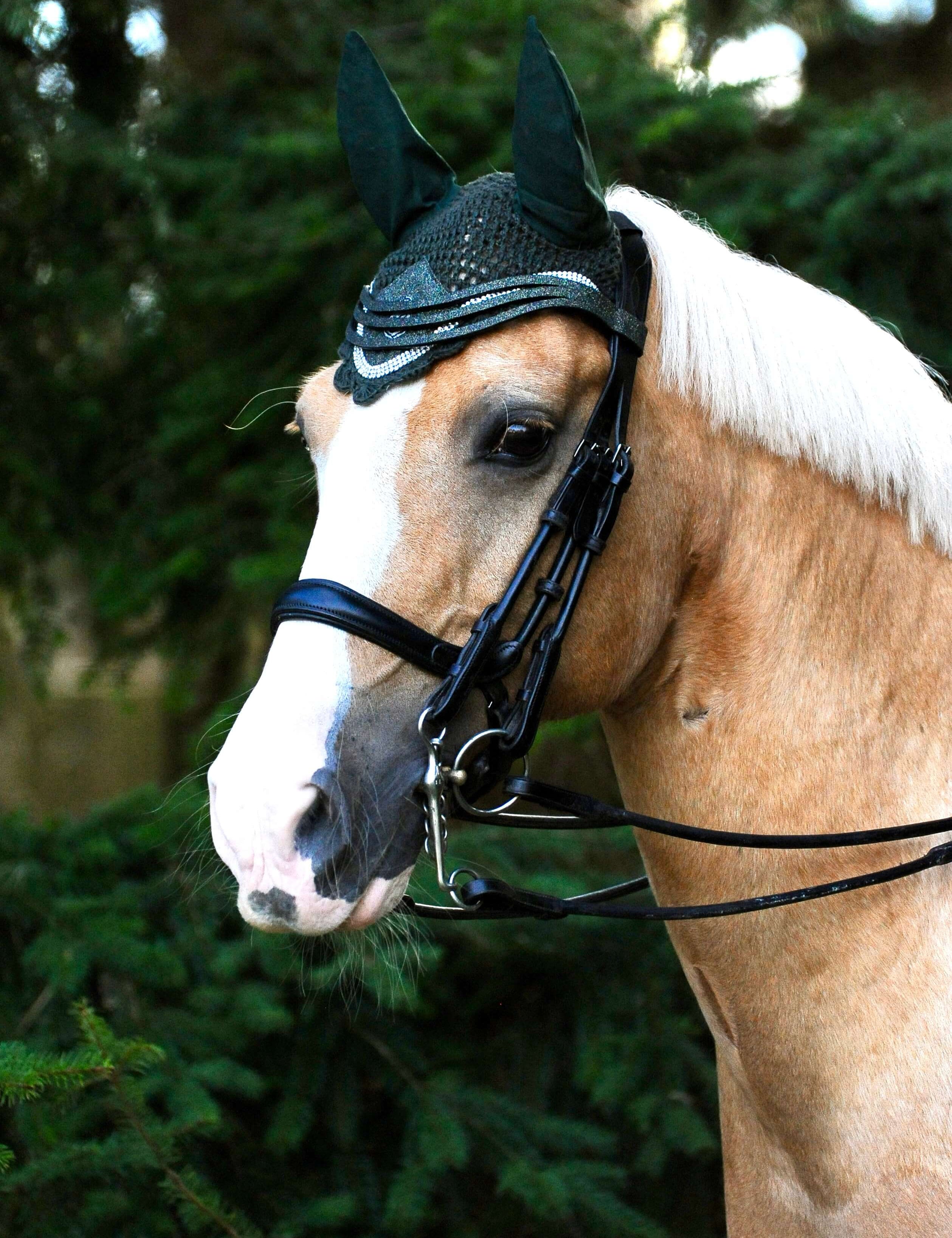 Jade Green Browband - Equestroom - Equiluxe Tack
