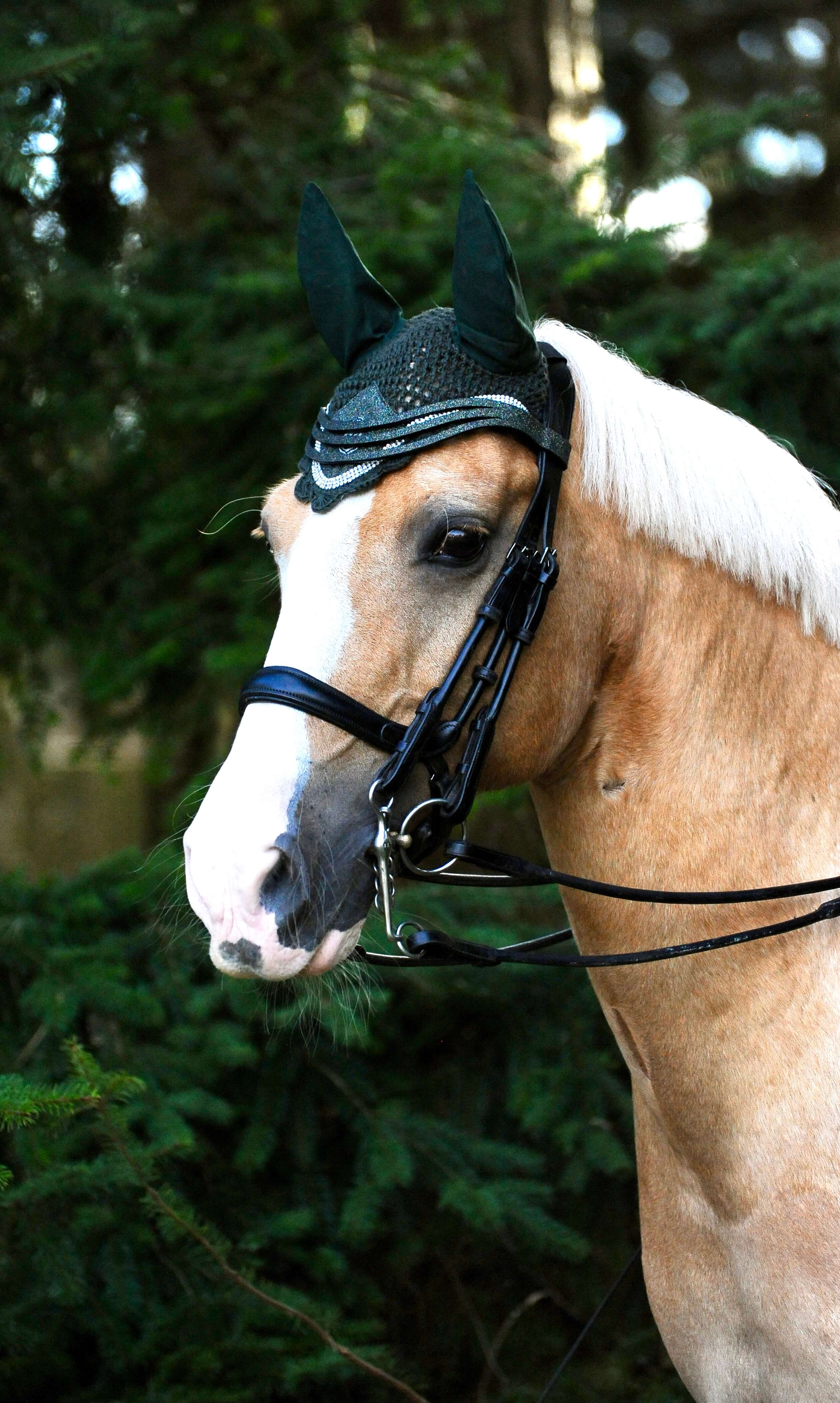 Jade Green Browband - Equestroom - Equiluxe Tack