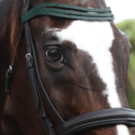 Jade Green Browband - Equestroom - Equiluxe Tack