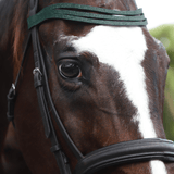 Jade Green Browband - Equestroom - Equiluxe Tack
