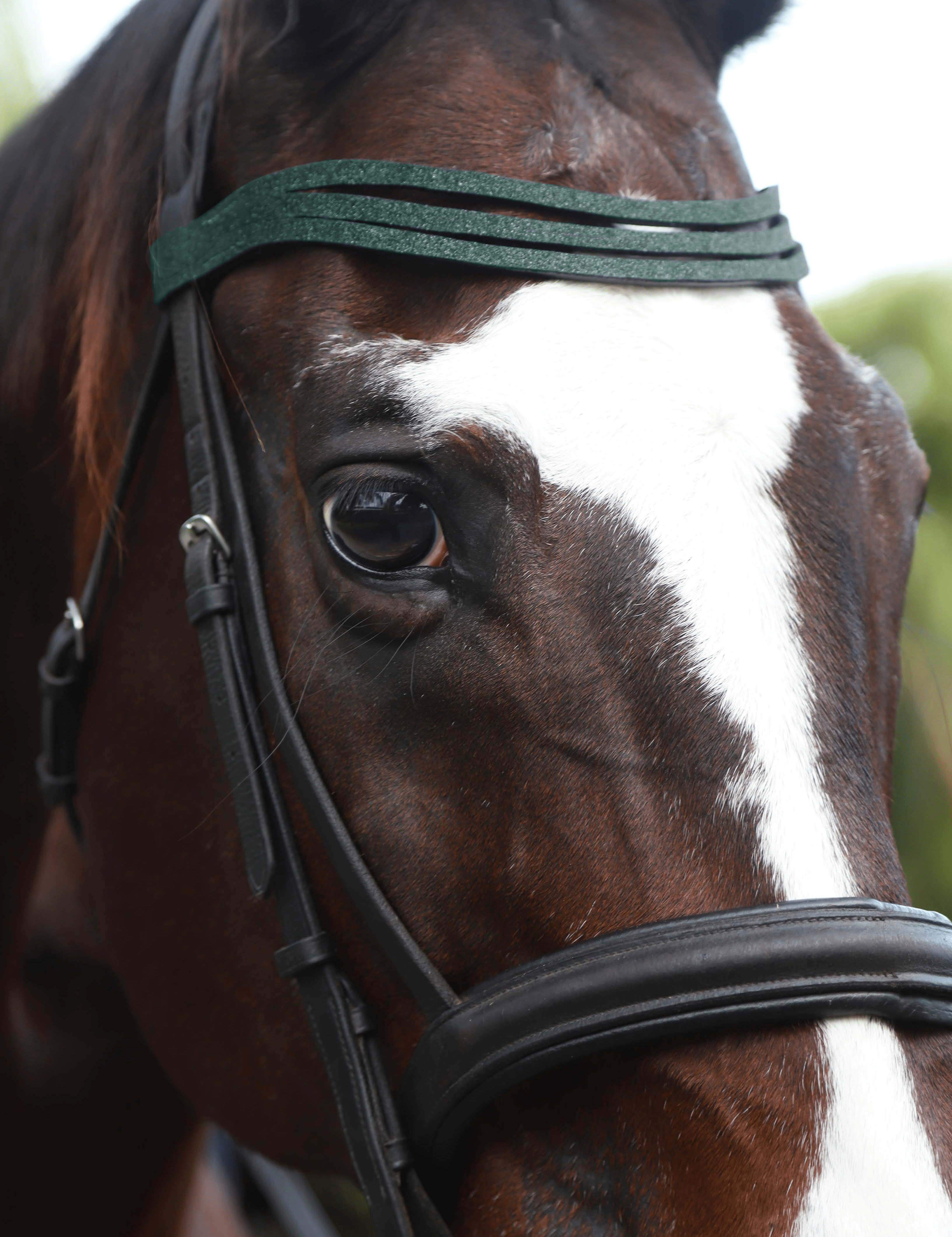 Jade Green Browband - Equestroom - Equiluxe Tack
