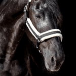 Jade Green Halter - Equestroom - Equiluxe Tack