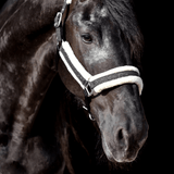 Jade Green Halter - Equestroom - Equiluxe Tack