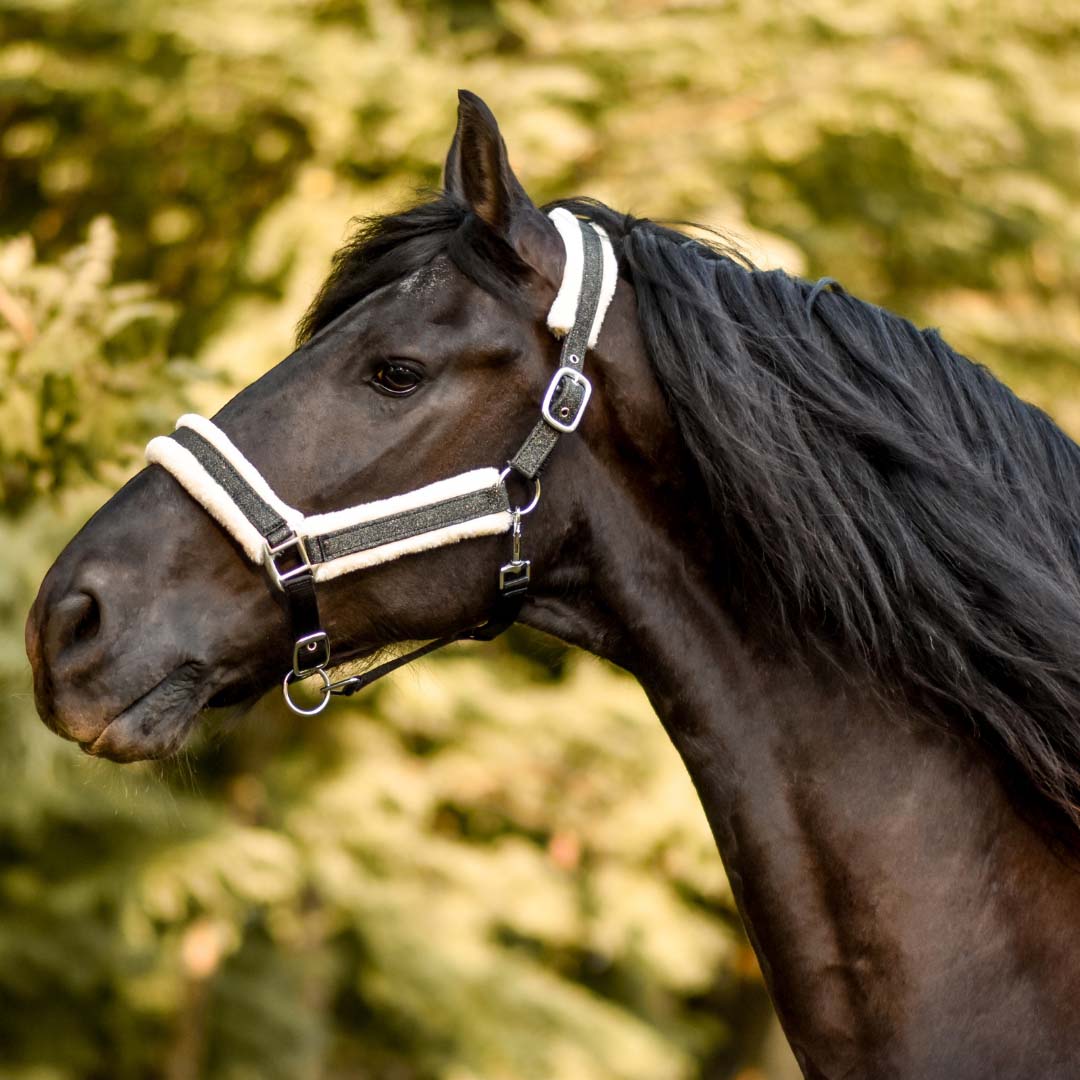 Jade Green Halter - Equestroom - Equiluxe Tack